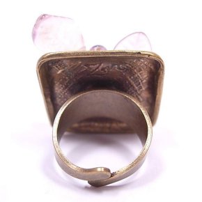 �t�����X�E�A�N�Z�T���[