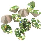 �X�����t�X�L�[�E���C���X�g�[���̃u���X���b�g